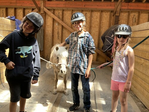Three students pose with a a small white pony.  The first student is wearing a helmet, shorts, and a hooded sweater with a dinosaur on front.  The second student is wearing a helmet, plaid shirt, and jeans, and the thirsd student has long blonde hair, is